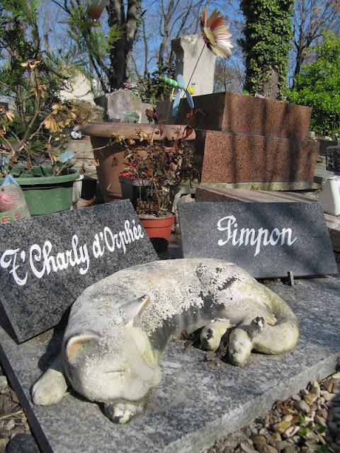 Tu mascota falleció, ¿sabes cuánto cuesta cremarlo?