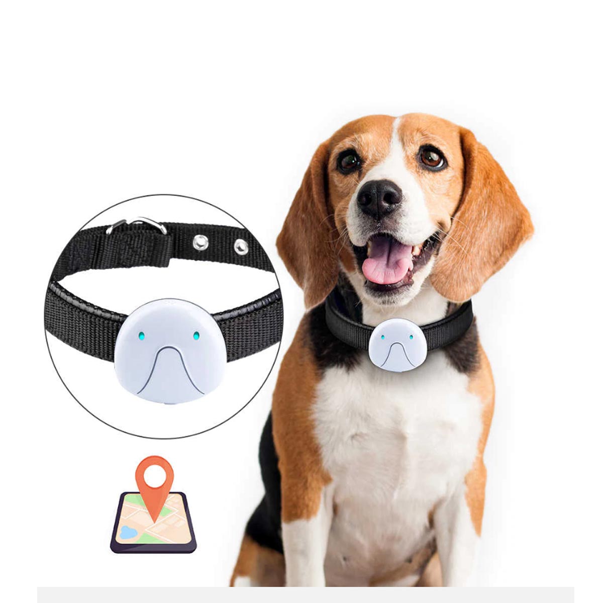 La tecnología y tú mascota; descubre los collares inteligentes