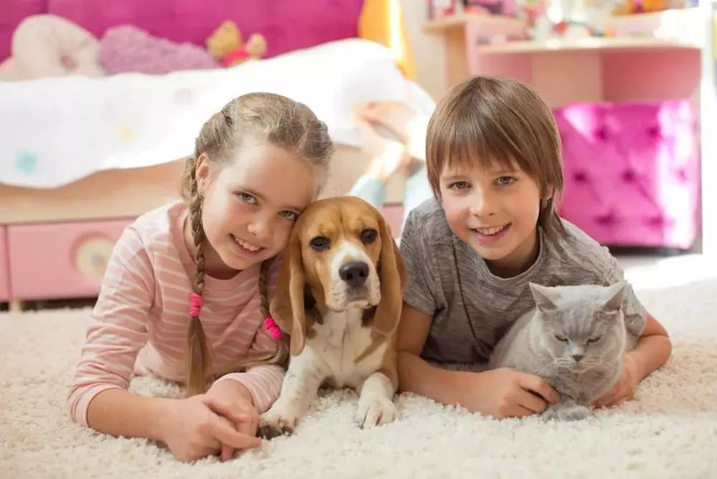 Es importante mantener la actividad con las mascotas frente al coronavirus
