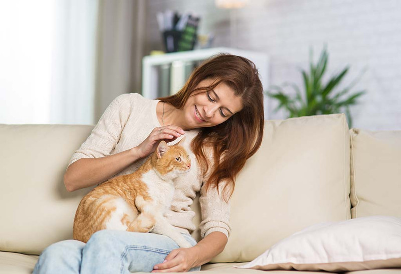 Los gatos son benéficos para la salud por más de una razón