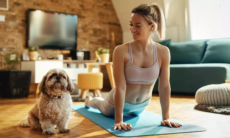 Yoga para perros, una experiencia grata y de relajación