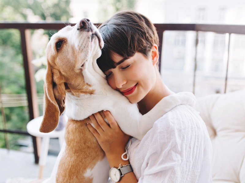 ¿Cómo saber si mi perro ya es adulto?