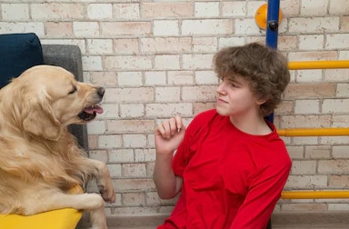 Miedo a los perros; conoce qué es la cinofobia y qué la provoca