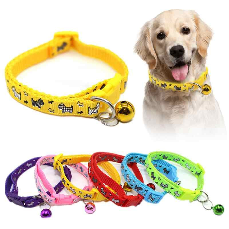 Collares en los perros; indicadores que sirven para identificar la personalidad de los perros