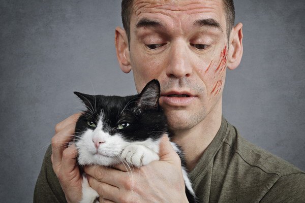 Si tu gato es agresivo, aquí te decimos posibles causas y te damos algunas soluciones