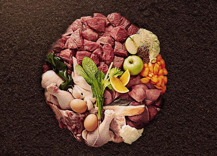 La dieta BARF, una alimentación que puede resultar ideal para tu gato