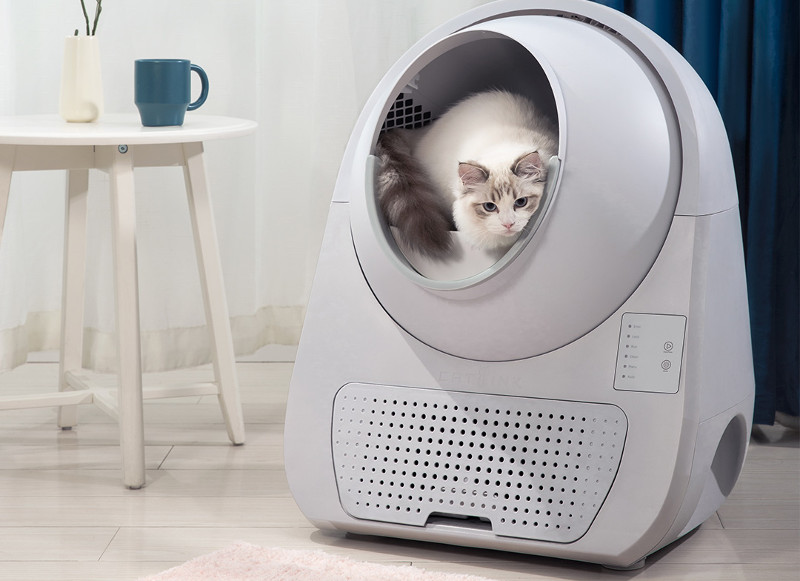 Catlink, el arenero del futuro