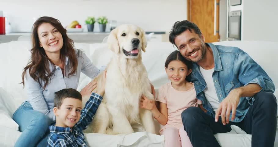El perro, una mascota ideal para la familia