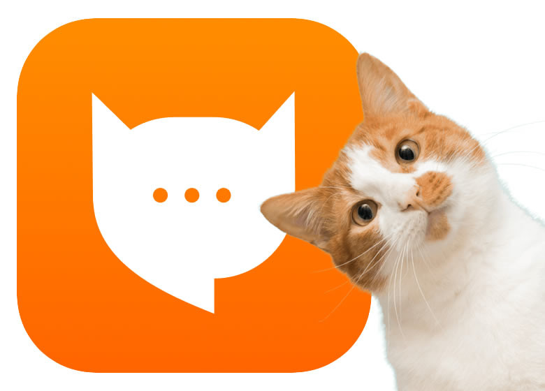 MeowTalk, la aplicación para entender los maullidos de tu gato
