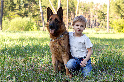 Perros protectores ideales para niños, hablemos un poco de ellos