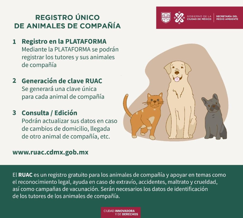 El gobierno de la CDMX pone en marcha el Registro Único de Animales de Compañía