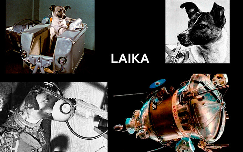 Laika, la perrita que viajó al espacio Parte 3