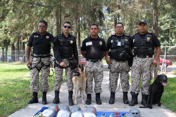 Este año la Brigada de Vigilancia Animal en la CDMX ha rescatado a más de 350 especies