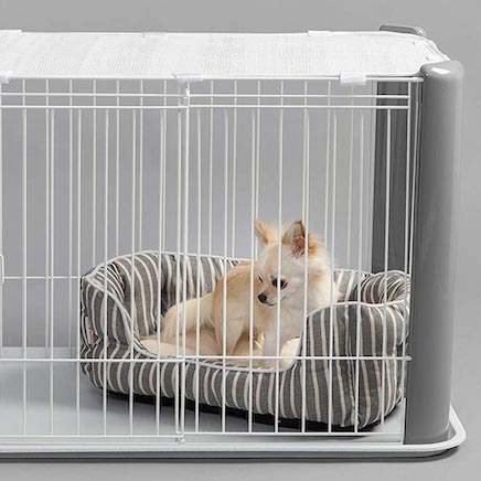 ¿Jaulas para perros?