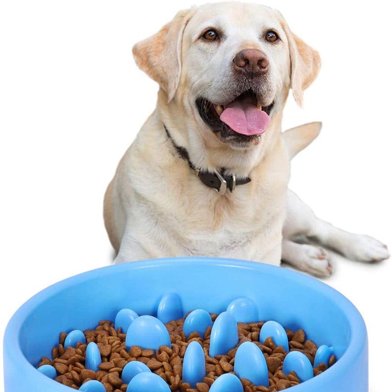 Beneficios de un slow feeder para perros