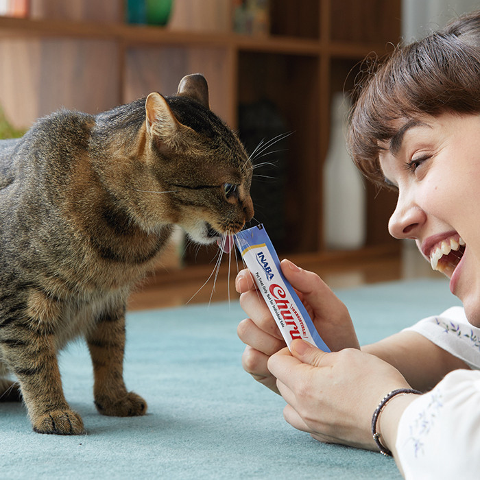 Salud bucal en gatos... enfermedades comunes