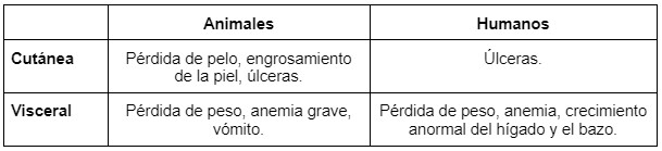 Enfermedades de cuidado: Leishmaniosis