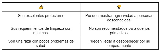 Descubre al pastor de Anatolia