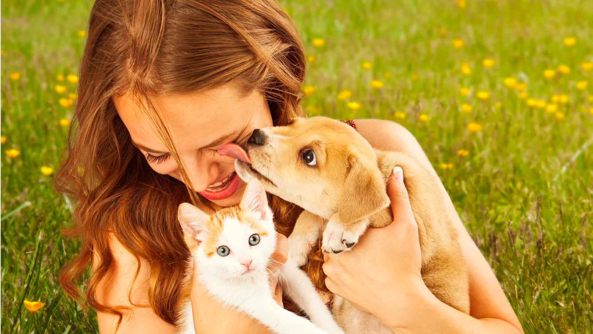 La importancia del vínculo entre mascotas y personas