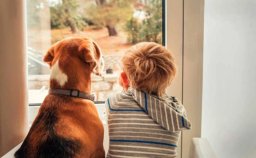 Lealtad, una característica principal en los perros