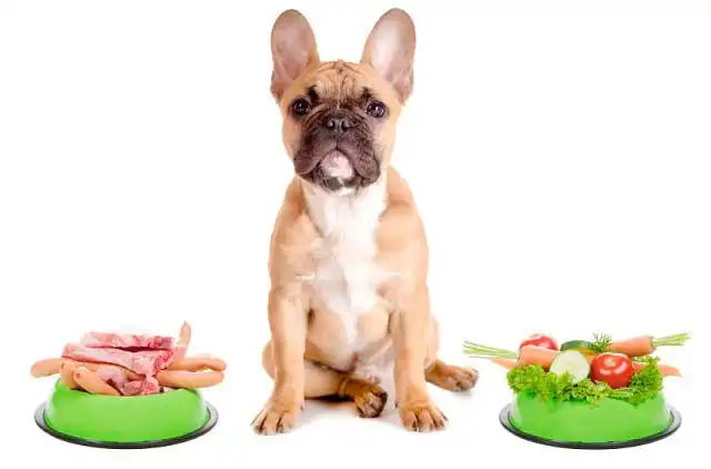 ¿Los cachorros pueden comer dieta BARF?