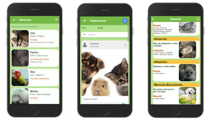 Aplicaciones inteligentes para adoptar mascotas, una alternativa para salvar vidas