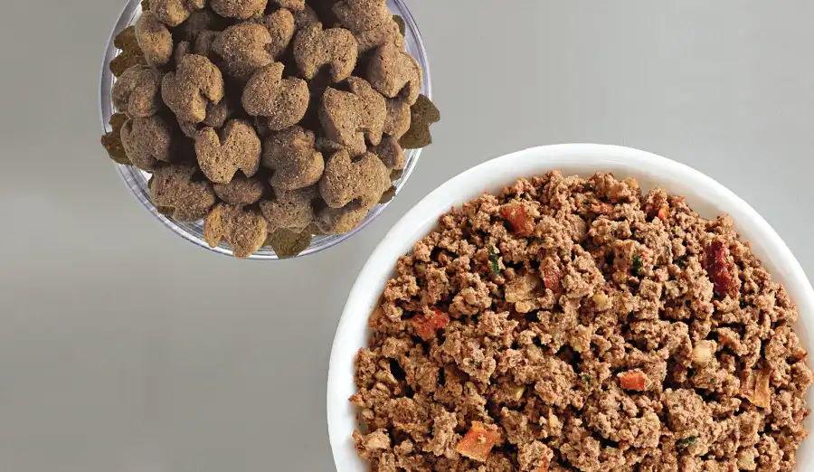 Comida húmeda, alimento seco... ¿sabes las diferencias?