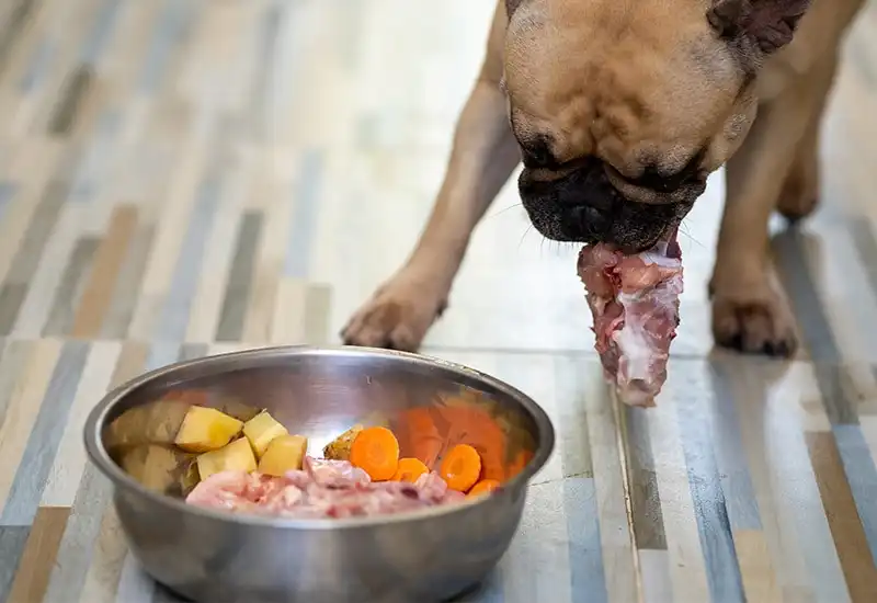 Dieta BARF para perros, más que darles carne cruda