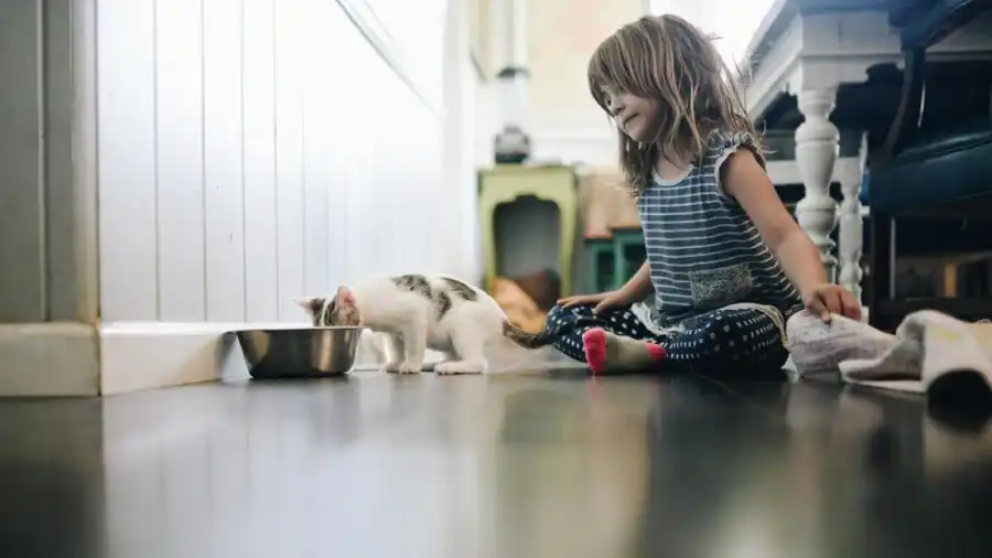 Autismo en niños y su relación con los gatos, una experiencia extraordinaria