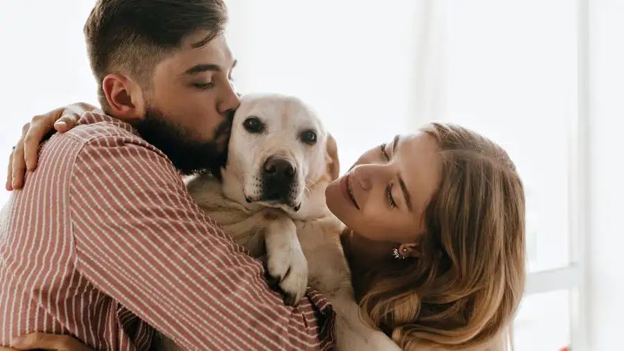 Descubre si eres la persona favorita de tu perro