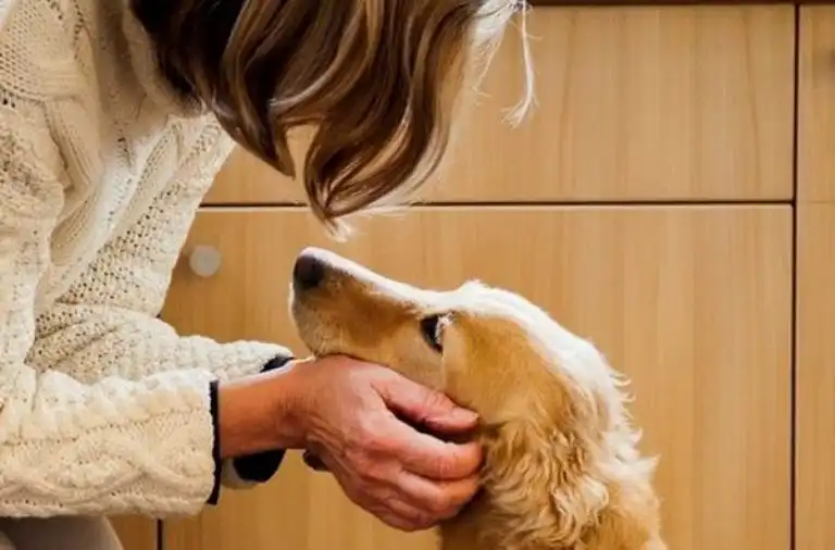 Consejos prácticos para calmar a tu perro cuando está nervioso