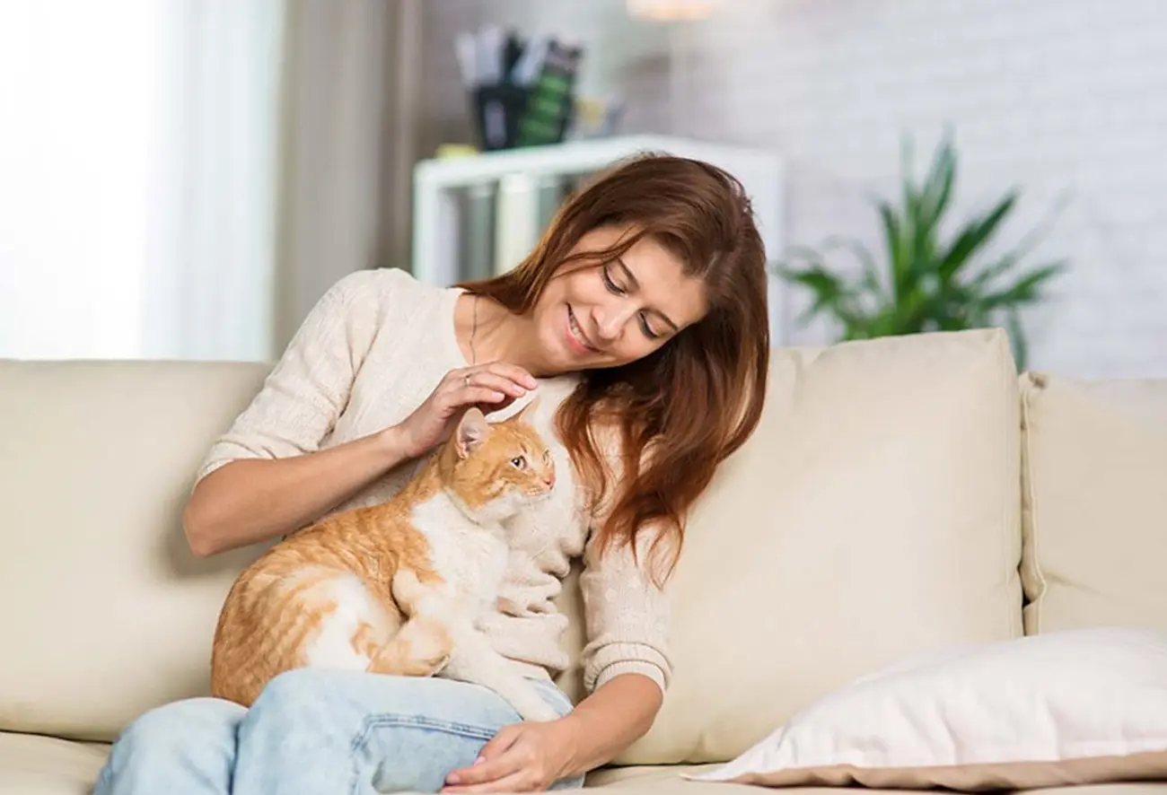 Cómo ayudar a tu gato a ser más seguro y amigable
