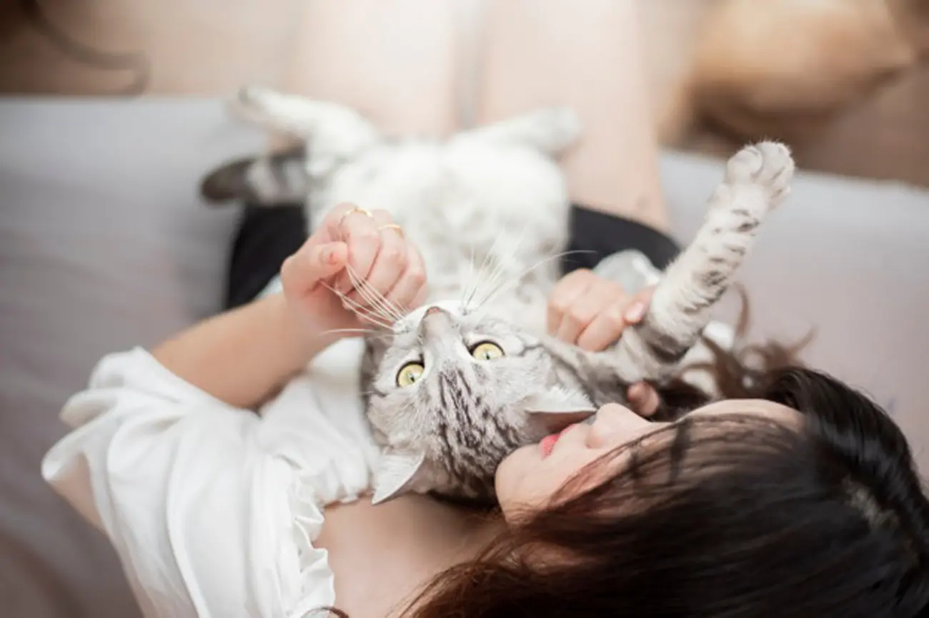 Los gatos y su misterioso afecto: ¿cómo eligen a su humano favorito?