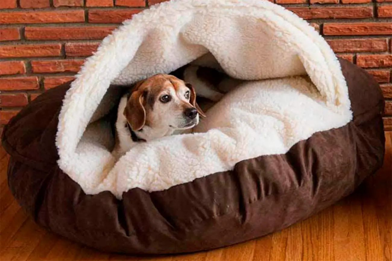 Poner límites también es una forma de cuidar