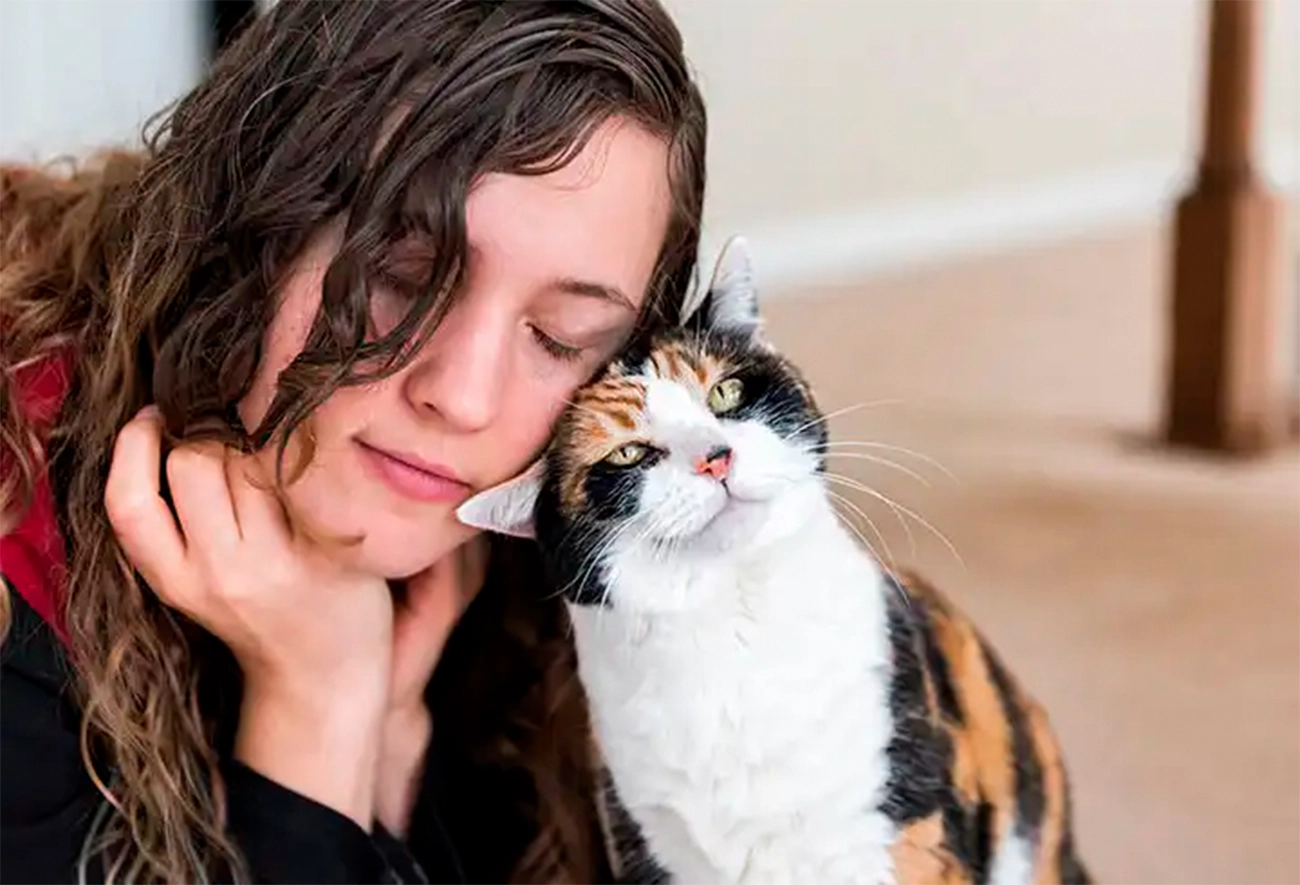 Señales de que tu gato confía y muestra cariño
