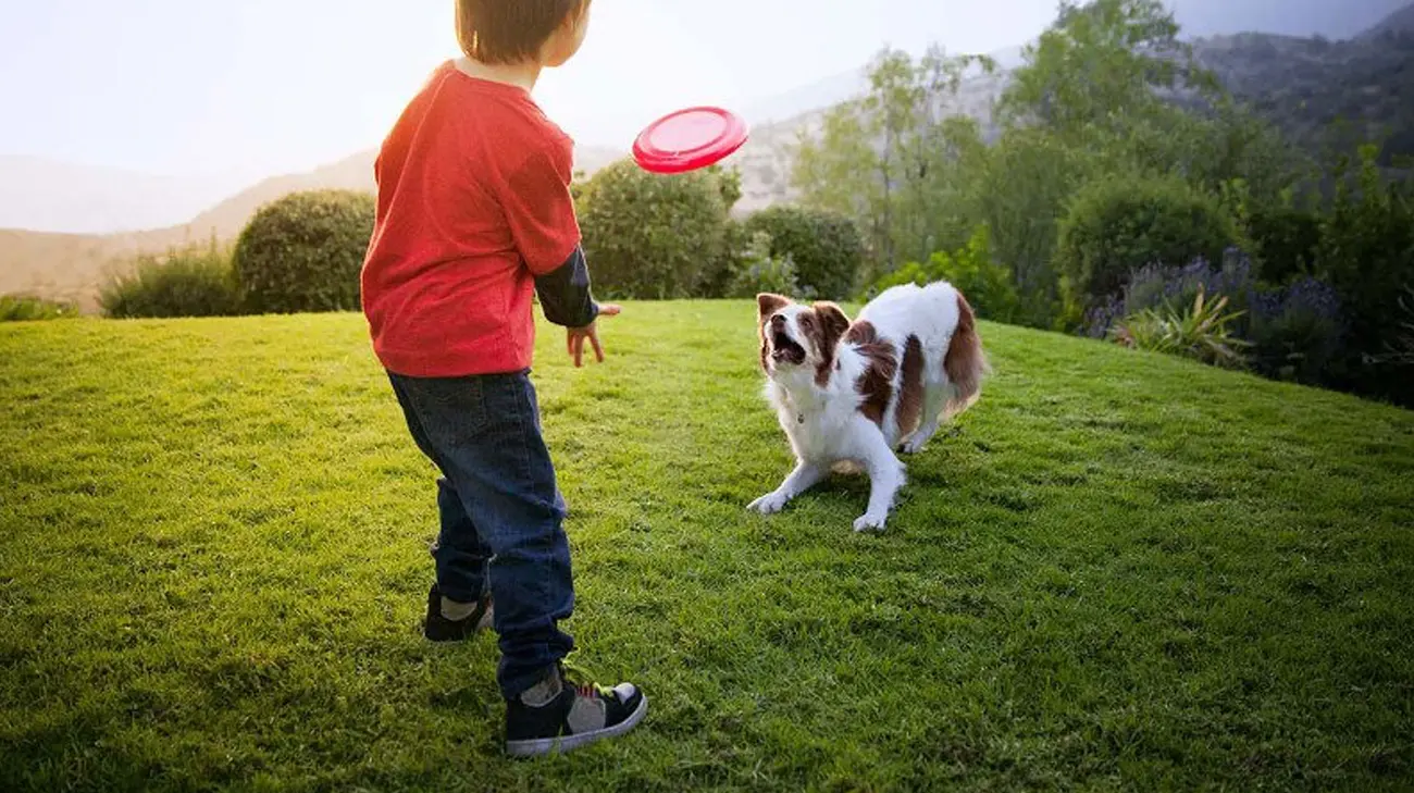 La importancia del juego en el bienestar de tu perro