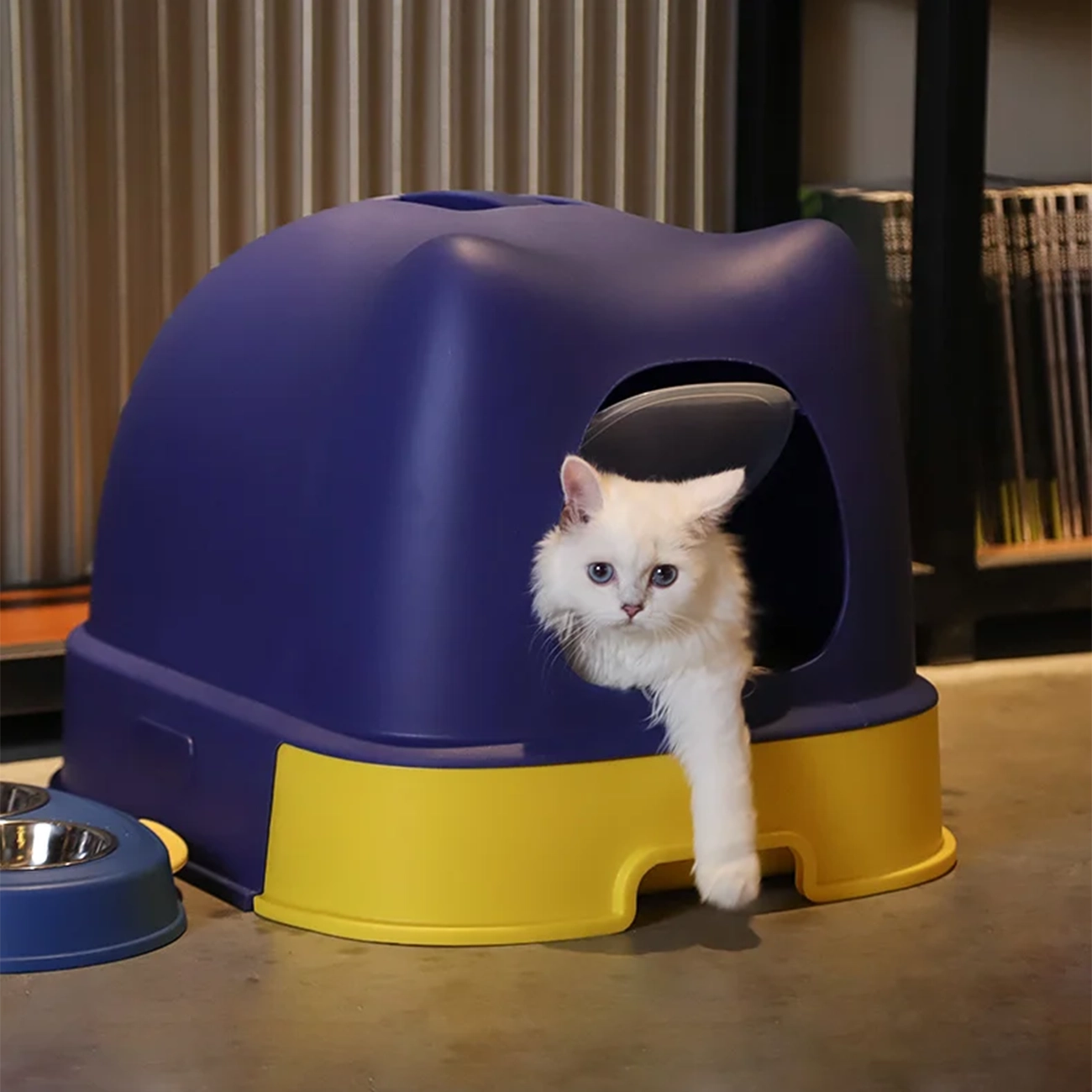 ¿Por qué algunos gatos rechazan el arenero cerrado?